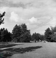 Harlow Carr, Harlow Moor and Pine Woods